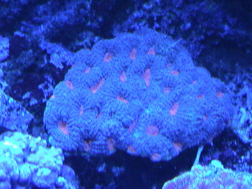 DSC00006.JPG