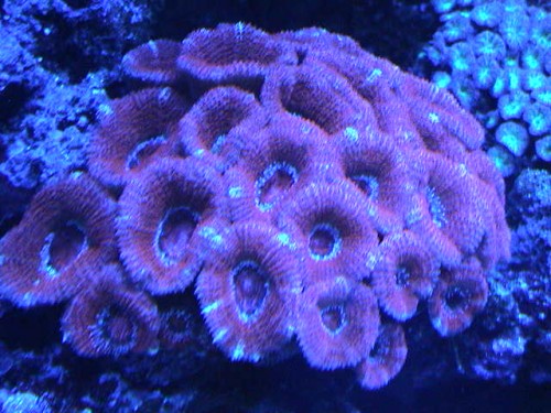 DSC00004.JPG