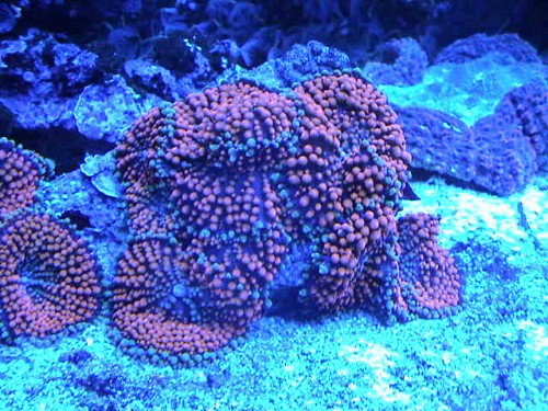 DSC00002.JPG