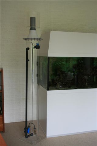 skummer01.JPG