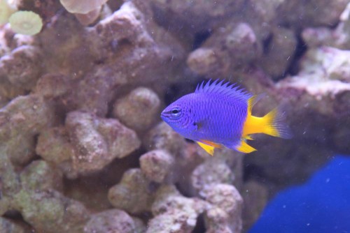 IMG_6910.jpg