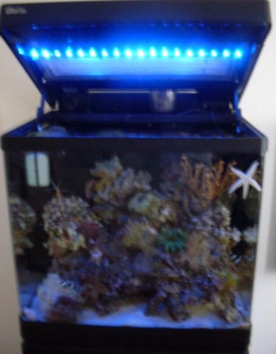 Med åbent låg - Taget i dagslys