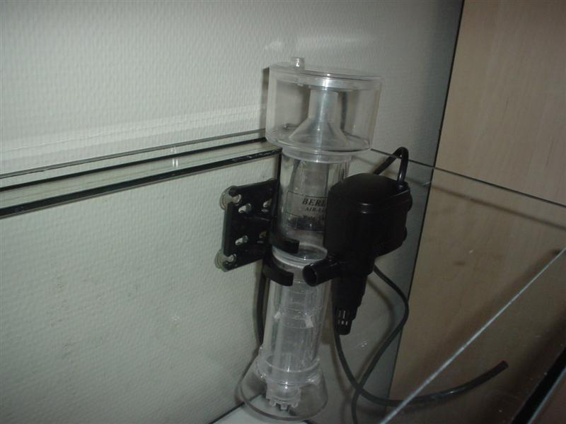 2. mulighed
