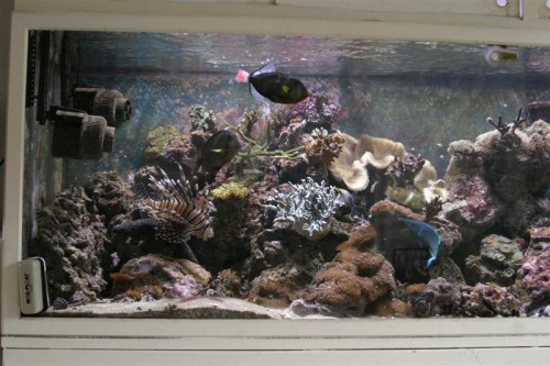 Salt 18-07-10 004 (Medium).jpg