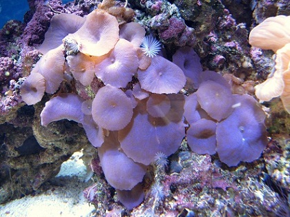 IMG_0617.JPG