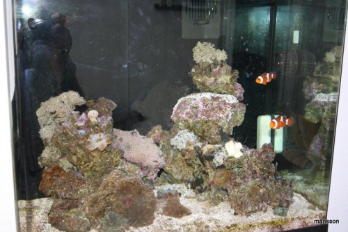 IMG_0397.JPG