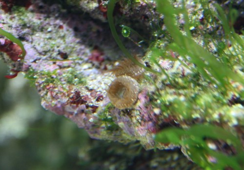 IMG_4723_small.JPG