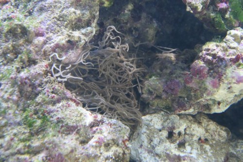 IMG_4727_small.JPG