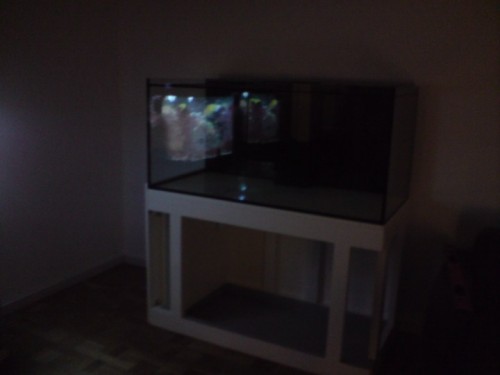 DSC01359 [DVD (PAL)].JPG