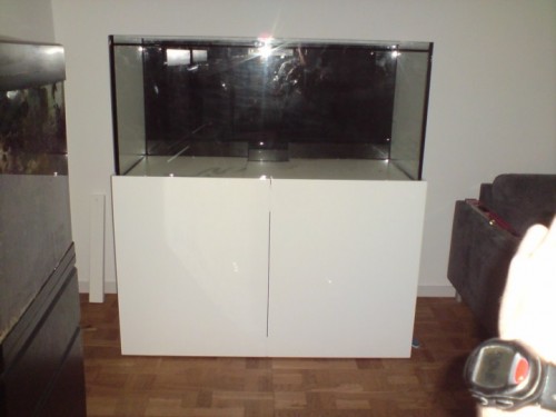 DSC01366 [DVD (PAL)].JPG