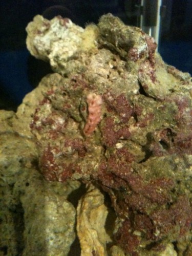 1010 (506 x 675).jpg