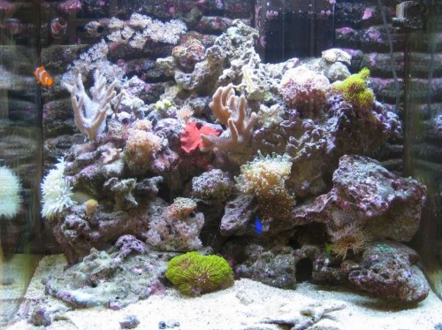 Full tank shoot 21082010.jpg
