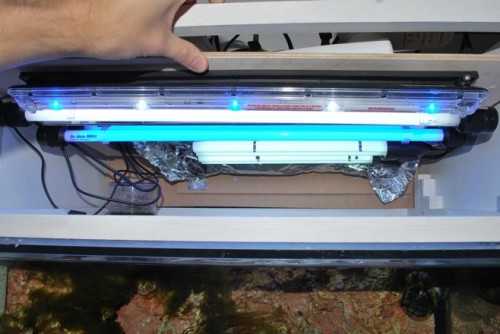 akvarie4-small.jpg