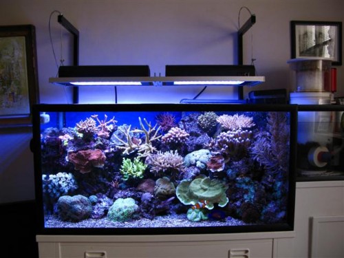 IMG_3350 (Small).jpg