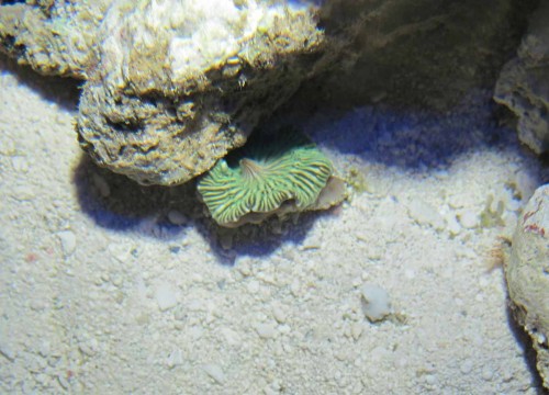 IMG_1896.jpg