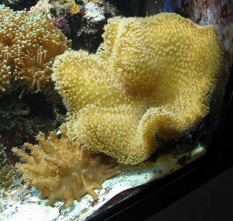 IMG_4940.jpg