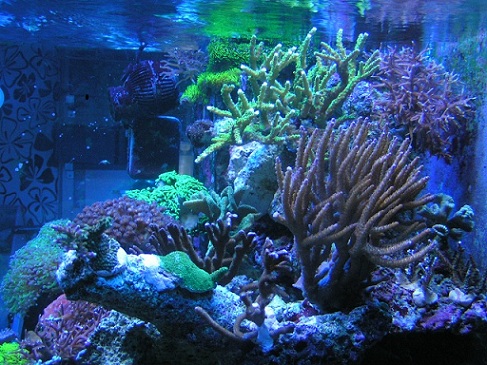 PICT0073.JPG