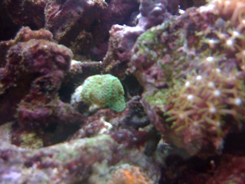 IMG_0056.JPG