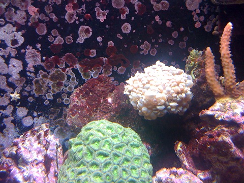 IMG_0077.JPG