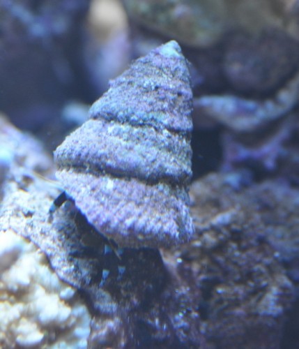 DSC_02553.JPG