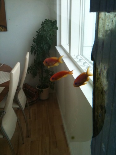 foto-22.jpg