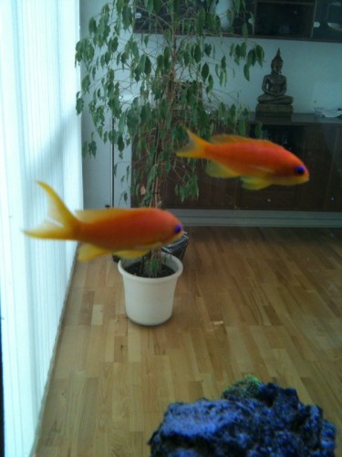 foto1.jpg