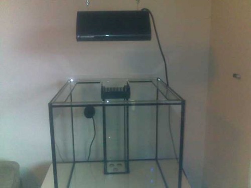 11092010083.jpg