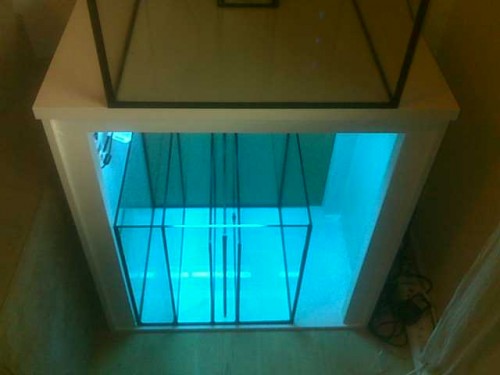 11092010084.jpg