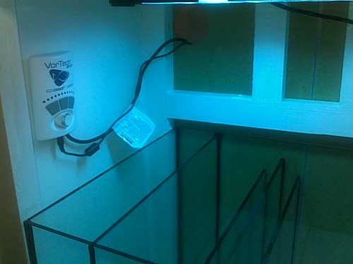 11092010085.jpg