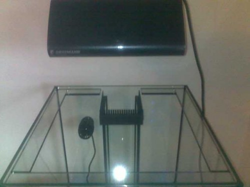11092010086.jpg