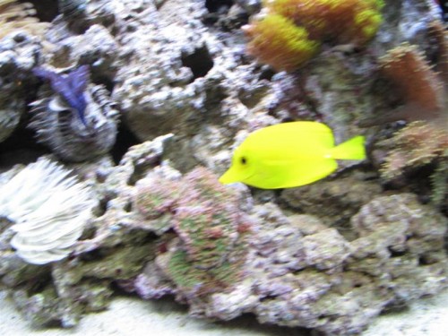 1 (11) (Medium).JPG