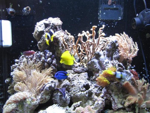 1 (21) (Medium).JPG