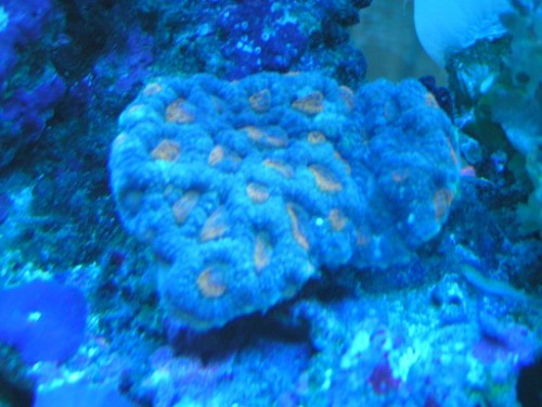 PICT0406.JPG
