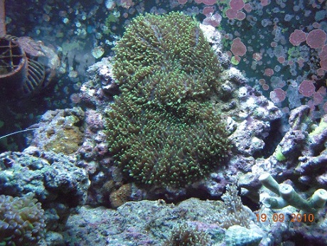 DSCN1364.JPG