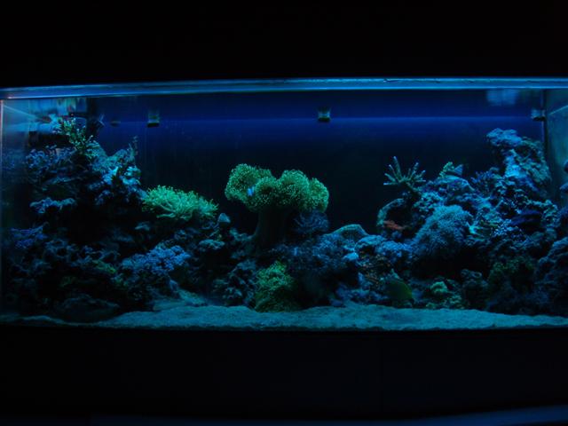 P9242041 (Small).JPG