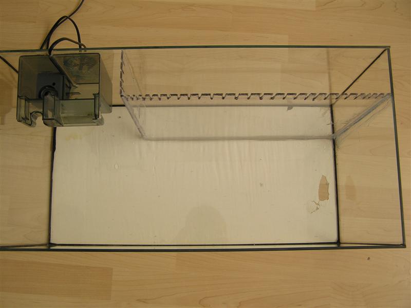 Billede 249 (Medium).jpg