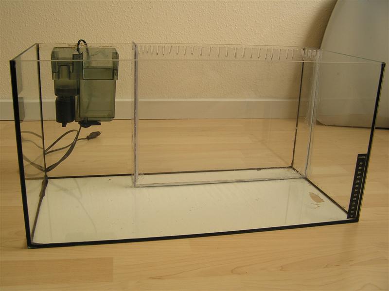 Billede 248 (Medium).jpg