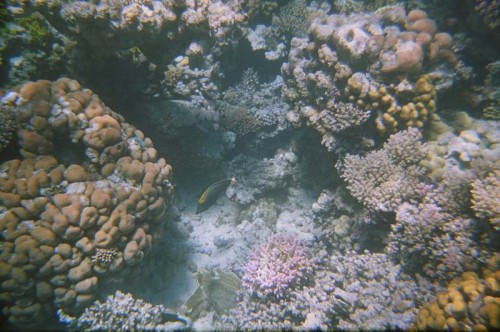 08330011.JPG