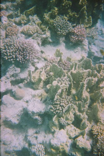 08340004.JPG