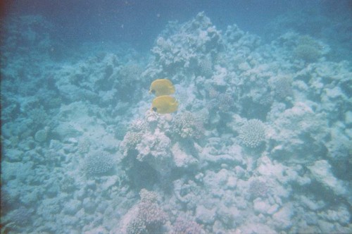 08340007.JPG