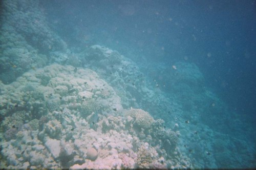 08340010.JPG