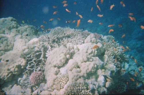 08340024.JPG