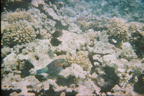 08340027.JPG