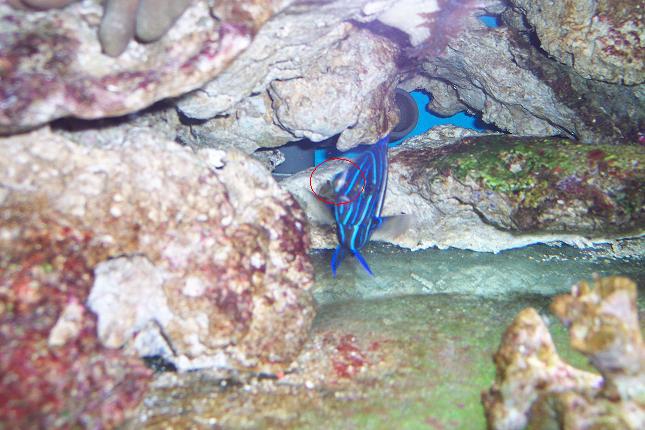 100_3934.JPG
