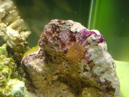 DSC00644.JPG