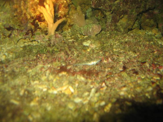 IMG_2529.jpg