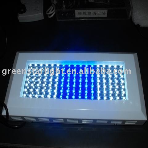 344167835.jpg