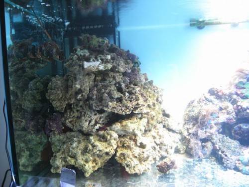 RIMG0020.jpg
