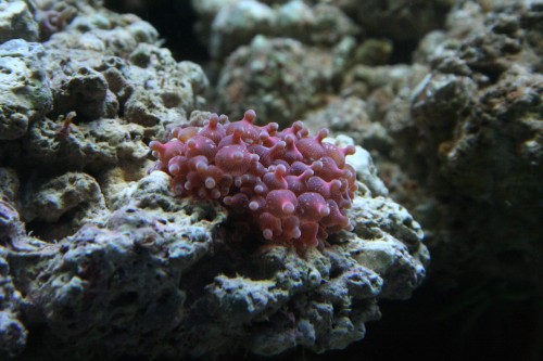 IMG_9065.JPG