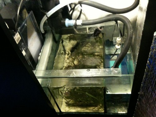 Sump